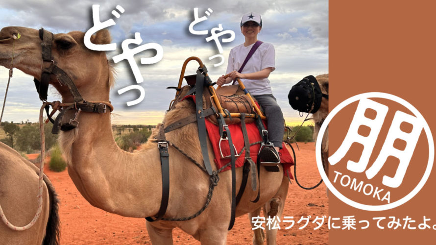 【オーストラリア】ラクダに乗って2022年の最後のサンセットをみてきました！VELTRAの『キャメルツアー』に参加してきました！